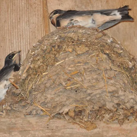 La Grange Aux Hirondelles Frühstückspension 3*