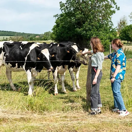 La Grange Aux Hirondelles Frühstückspension Athienville
