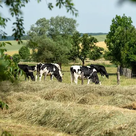 La Grange Aux Hirondelles Frühstückspension Athienville