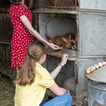 La Grange Aux Hirondelles Frühstückspension 3*