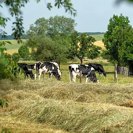 La Grange Aux Hirondelles 3* Athienville