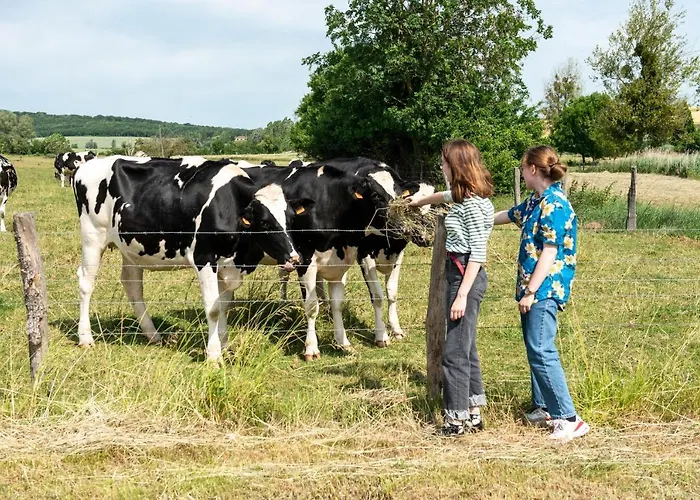 La Grange Aux Hirondelles Bed & Breakfast Athienville