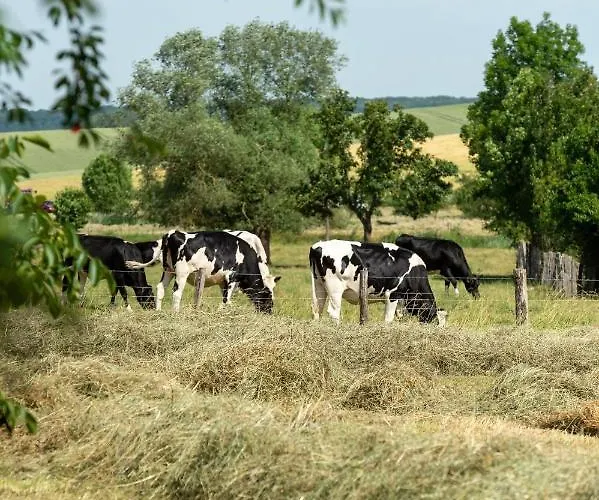 La Grange Aux Hirondelles Bed & Breakfast Athienville