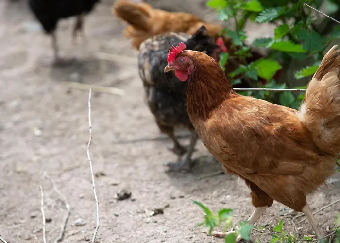 La Grange Aux Hirondelles 3*